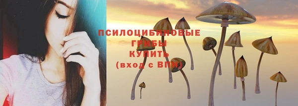 дживик Армянск