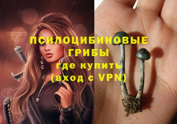 твердый Арсеньев
