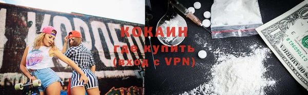 твердый Арсеньев