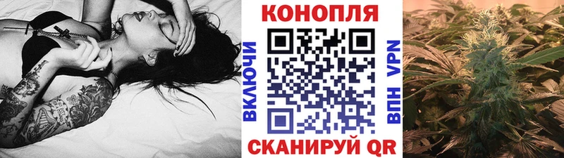 Бошки Шишки MAZAR  Феодосия 